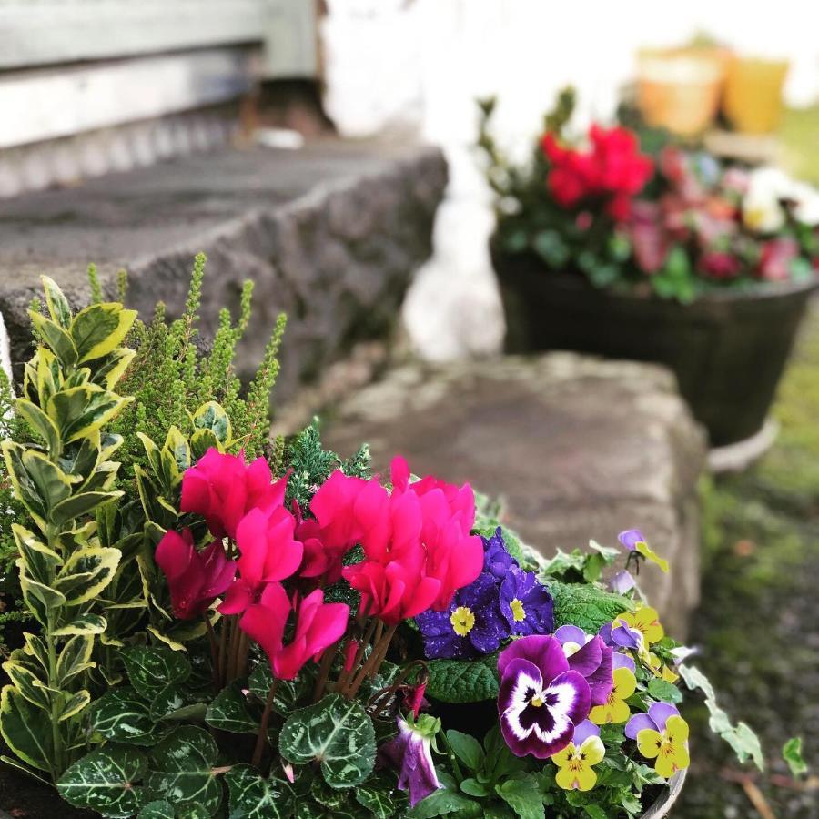 Nether Glenny Farm Farm stay