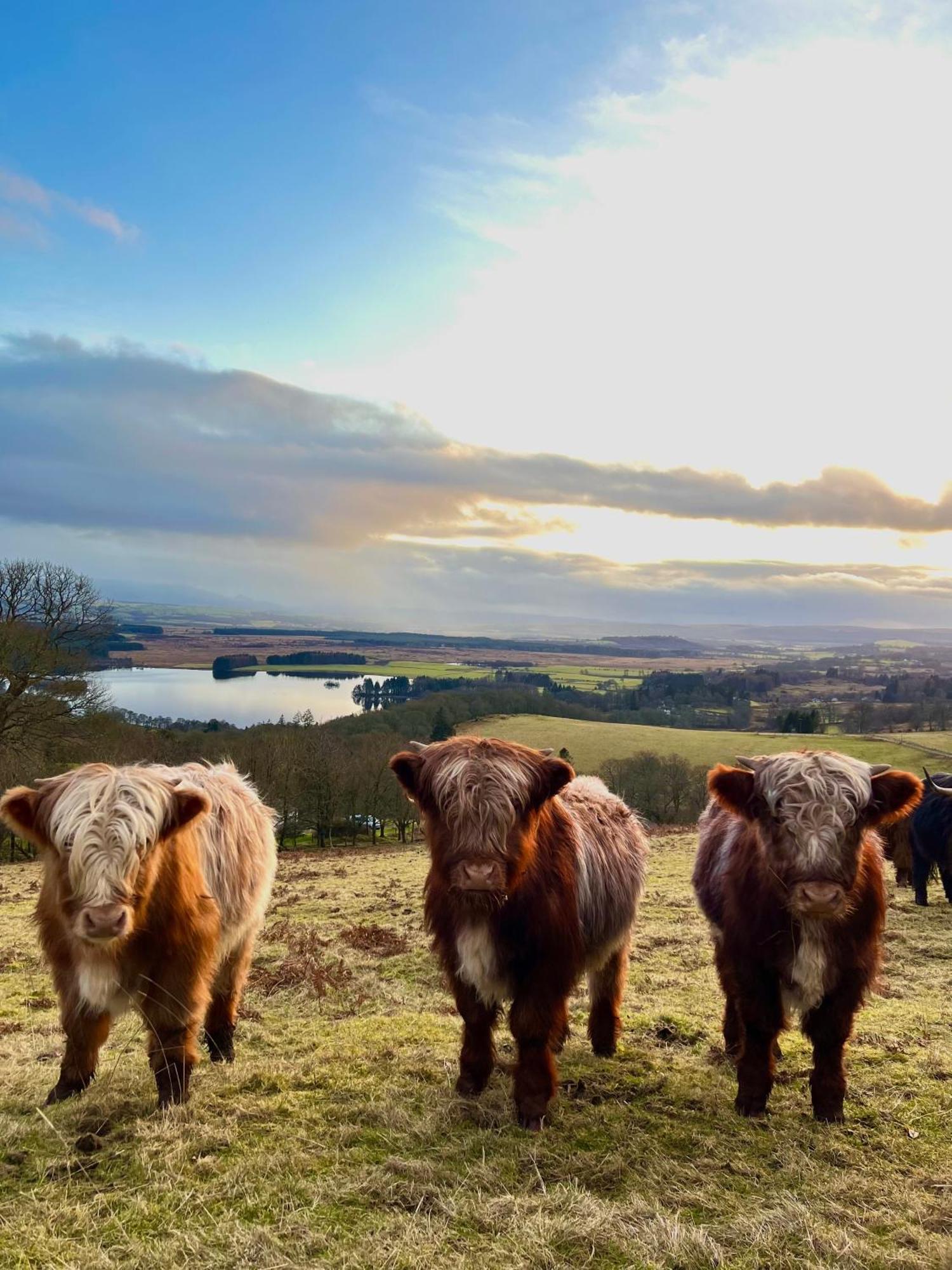 Nether Glenny Farm Farm stay *